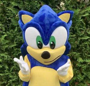 Hire Sonic for a Birthday Party